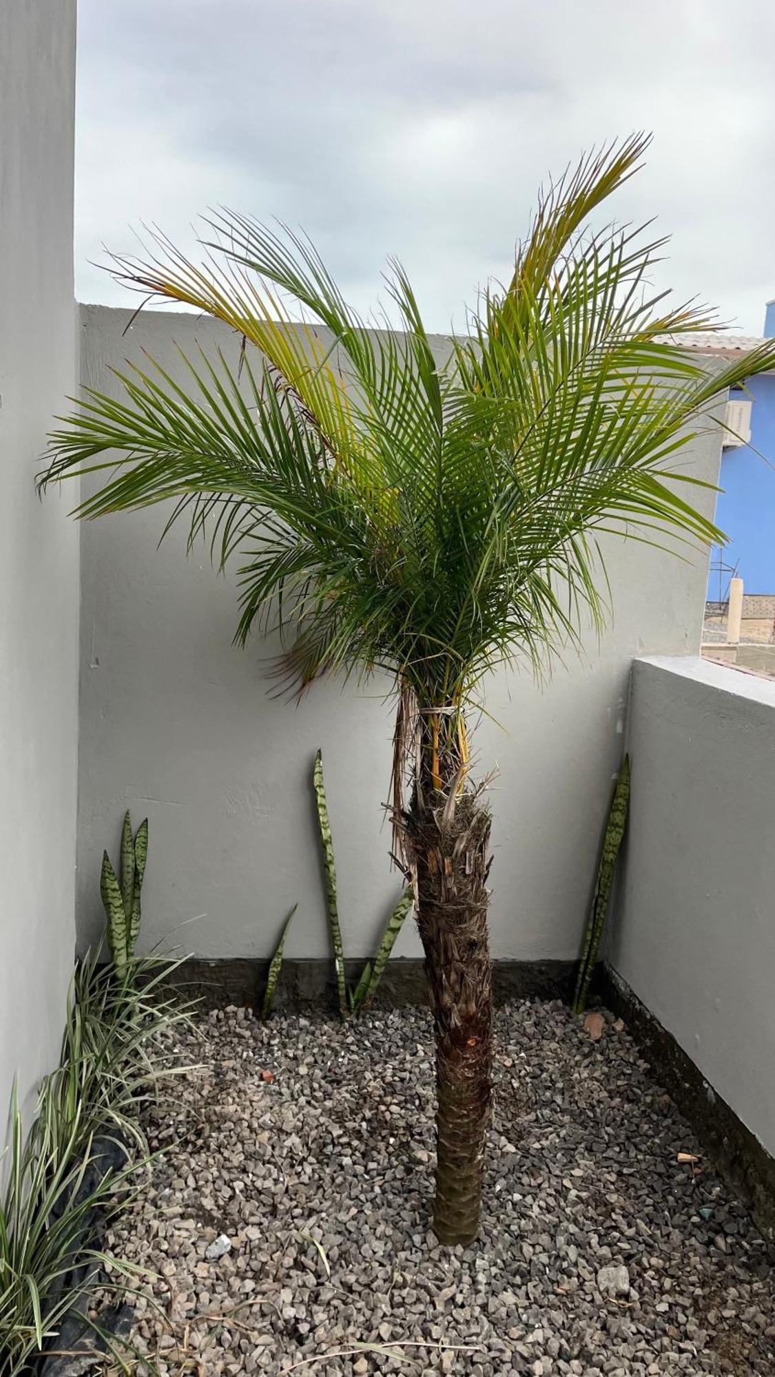 Holiday home Havana Flats Balneario Gaivota